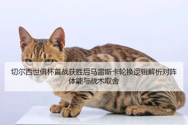 qie-er-xi-shi-ju-bei-shou-zhan-huo-sheng-hou-ma-lei-si-ka-lun-huan-luo-ji-jie-xi-dui-zhen-ti-neng-yu-zhan-shu-qu-she-2-364.jpg